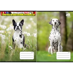   Füzet, tűzött, A5, kockás, 32 lap, COOL BY VICTORIA, B&W Dogs, 27-32