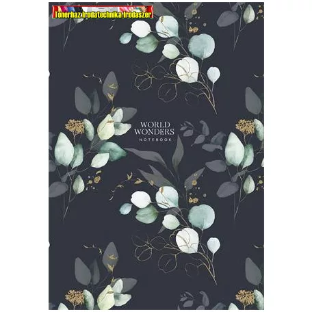 Füzet, A/4, vonalas, 80 lap, keményfedeles, SHKOLYARYK "World Wonders", vegyes