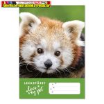 Leckefüzet pd kisalakú 40 lapos Vörös panda