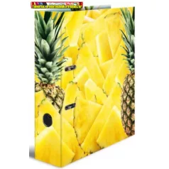 Herma Motif iratrendező A/4 7 cm-es, ananász fotóval