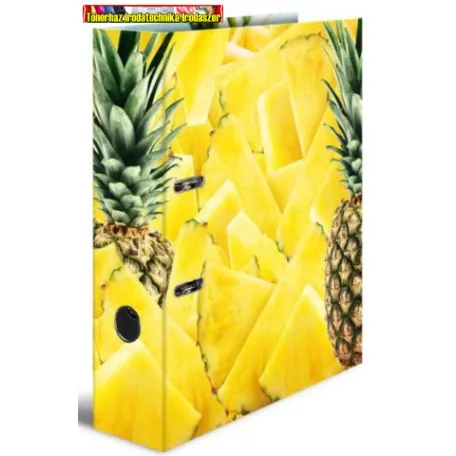 Herma Motif iratrendező A/4 7 cm-es, ananász fotóval