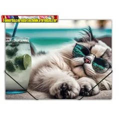 Gumis mappa, 15 mm, PP, A4, PANTA PLAST Chillout cat