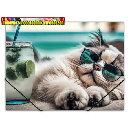 Gumis mappa, 15 mm, PP, A4, PANTA PLAST Chillout cat
