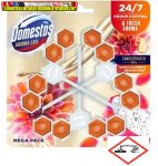   Domestos Aroma Lux Dahlia Flower & Dragonfruit 3× 55 g (wc illatosító, wc fertőtlenítő)