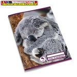 Leckefüzet és üzenőfüzet pd kisalakú 40 lapos Koala