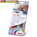   Pentel Színes ceruza akvarell készlet hatszögletű 12 szín 
