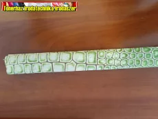 Krepp papír 50x200 cm - KÍGYÓ - Krepp papír 50x200 cm - KÍGYÓ -