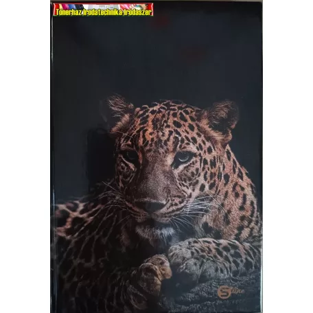 Beíró A5 96 lap kemény fedelű kockás füzet (S-line) - Leopárd -