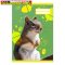 Füzet pd kisalakú 32 lapos 12-32 vonalas Colores Cute Animals 3. osztály (A5) (A/5)