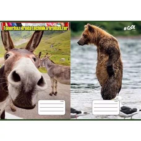 Füzet, tűzött, A5, vonalas, 32 lap, 3. osztály, COOL BY VICTORIA, Funny animals, 12-32