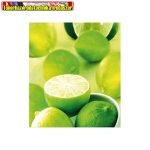 Szalvéta 33 x 33 cm 3 rétegű Lime (20 db/ csg)