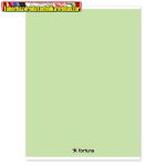   Füzet vonalas Monocolor A/4 32 lapos pasztell zöld színű borítóval (81-32) (A4)