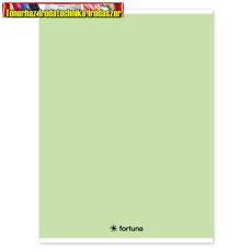 Füzet vonalas Monocolor A/4 32 lapos pasztell zöld színű borítóval (81-32) (A4)