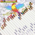   Színesceruza PRIMO Minabella középvastag kül. színben db-ra