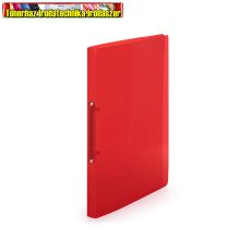 Gyűrűskönyv A4, 2 gyűrűs 2cm gerinc áttetsző PP,  P+P Lines piros