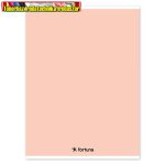   Füzet vonalas Monocolor A/4 32 lapos pasztell barack színű borítóval (81-32) (A4)