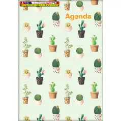   DAYLINER, Colors, Cactus Naptár, tervező, A5, heti, (agenda) 2027
