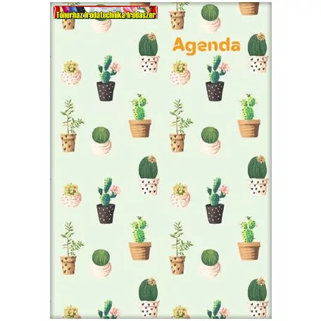 DAYLINER, Colors, Cactus Naptár, tervező, A5, heti, (agenda) 2027