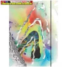 Gumis mappa karton pd A/4 Illusions vegyes