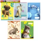 Füzet pd kisalakú 32 lapos 14-32 vonalas Colores Cute Animals 1. osztály
