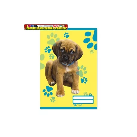Füzet pd kisalakú 32 lapos 14-32 vonalas Colores Cute Animals 1. osztály