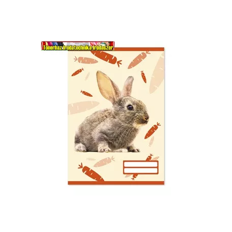 Füzet pd kisalakú 32 lapos 14-32 vonalas Colores Cute Animals 1. osztály
