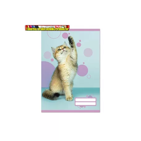 Füzet pd kisalakú 32 lapos 14-32 vonalas Colores Cute Animals 1. osztály
