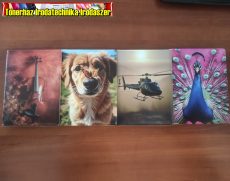 Okmánytartó 16 lapos (igazolványtartó, okmány tartó)