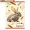 Füzet pd kisalakú 32 lapos 16-32 vonalas Colores Cute Animals 2. osztály (A5) (A/5)