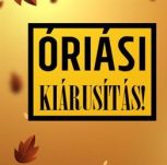 KIÁRUSÍTÁS