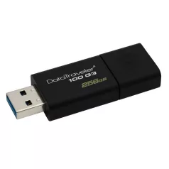 256GB