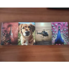 Okmánytartó