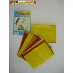 Fűzőlap -FL 11-00- iskolai 50lap/cs